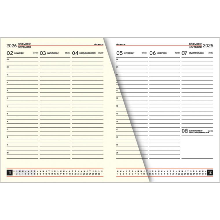 Manager săptămânal ivory