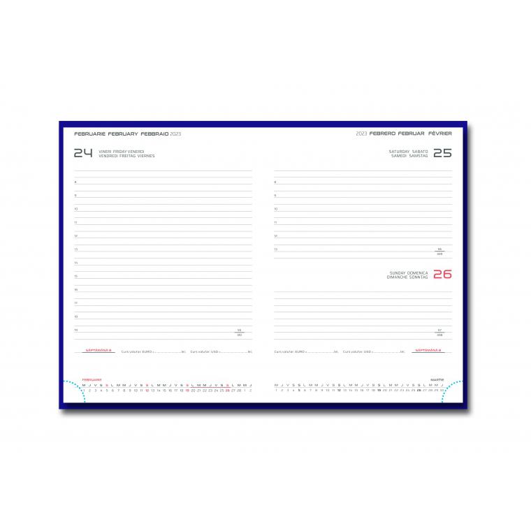 15 x 21 cm - datat zilnic 460