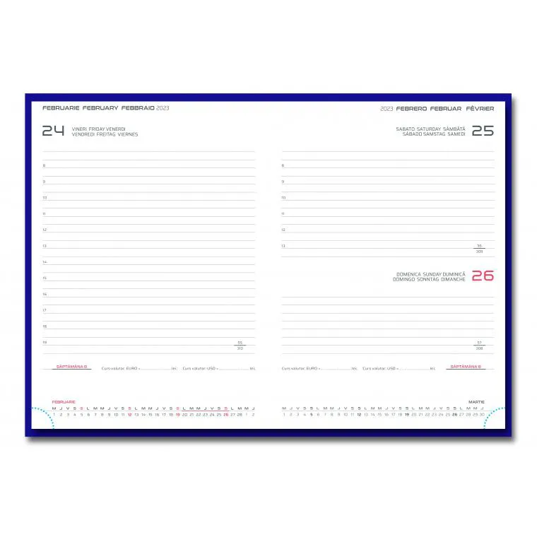 17 × 24 cm - datat zilnic 457