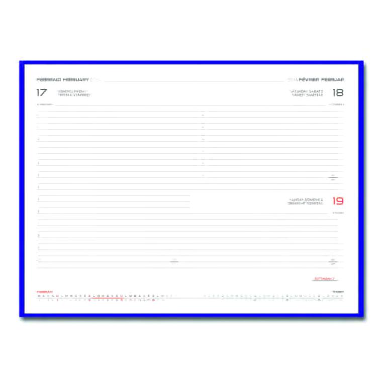 11 x 17 cm - datat zilnic 205