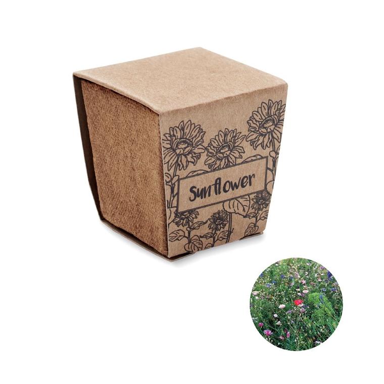 Kit pentru cultivarea florii-soarelui SUNFLOWER KIT