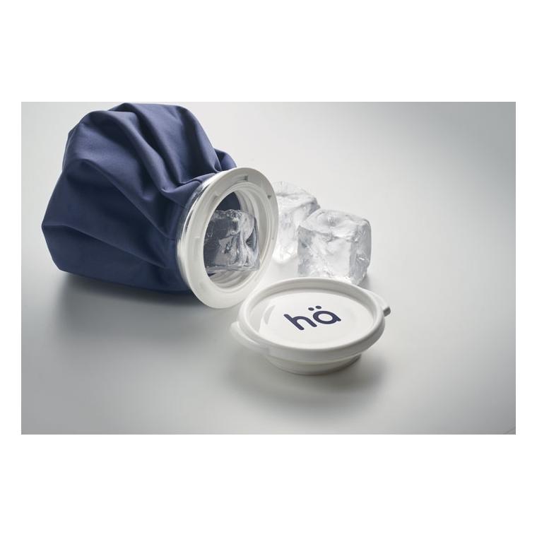 Pachet pentru gheață reutilizabil SANAR Albastru