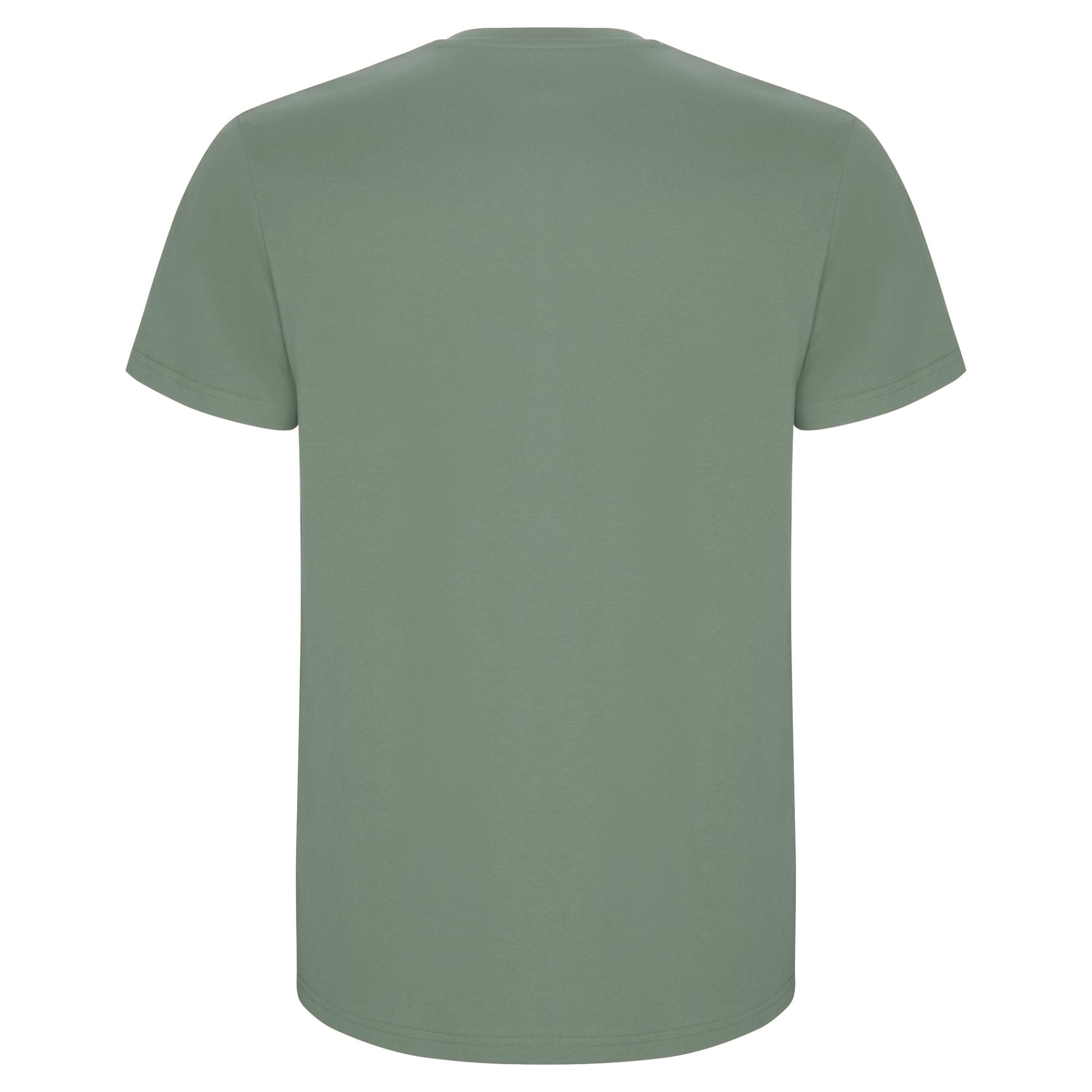 Tricou pentru bărbați STAFFORD Verde Dafin XXL