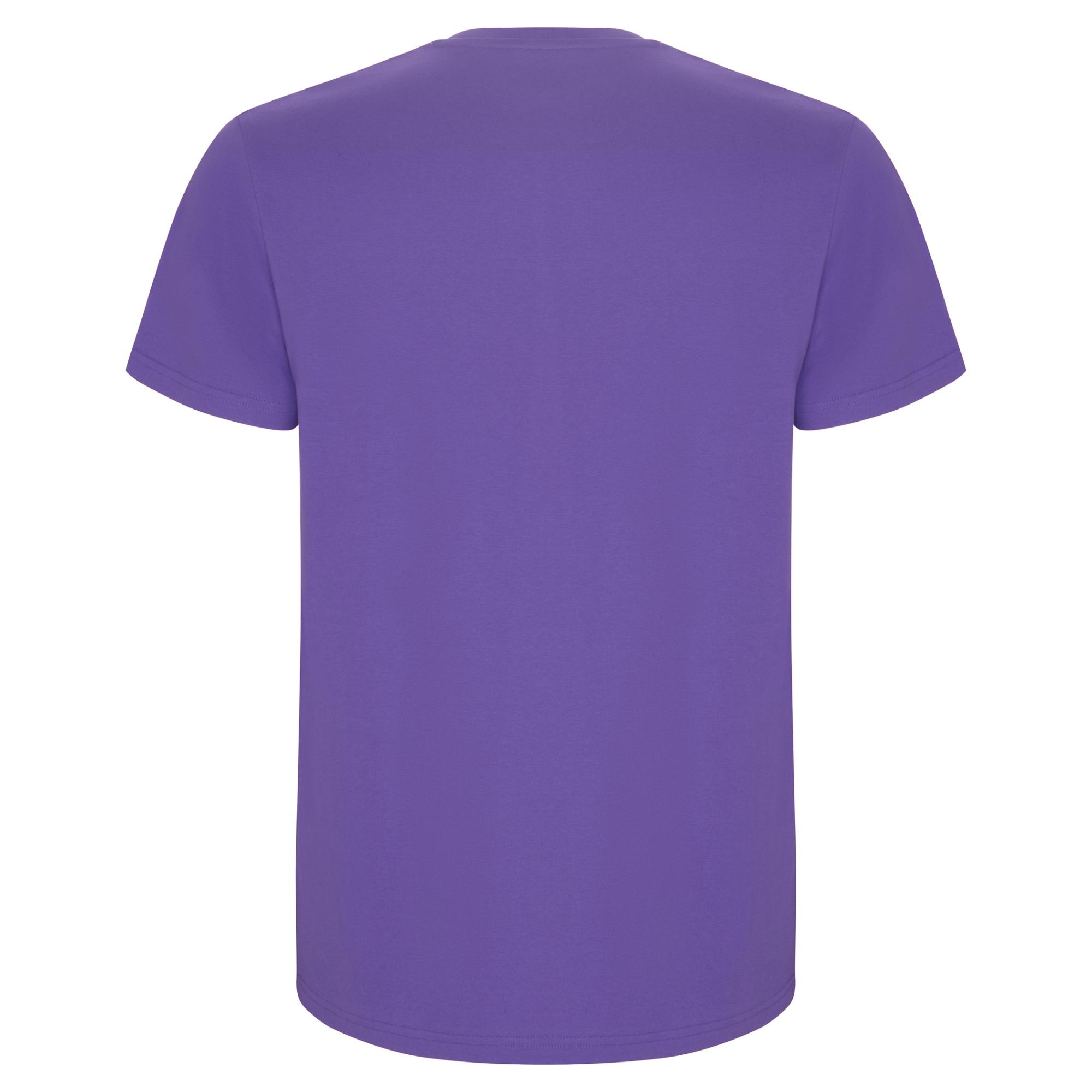 Tricou pentru bărbați STAFFORD IRIS PURPLE XXL