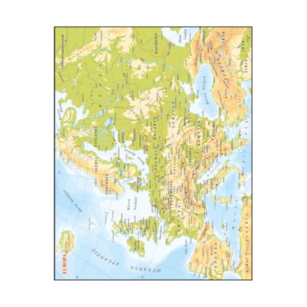 Agenda Activ Roșu FT11