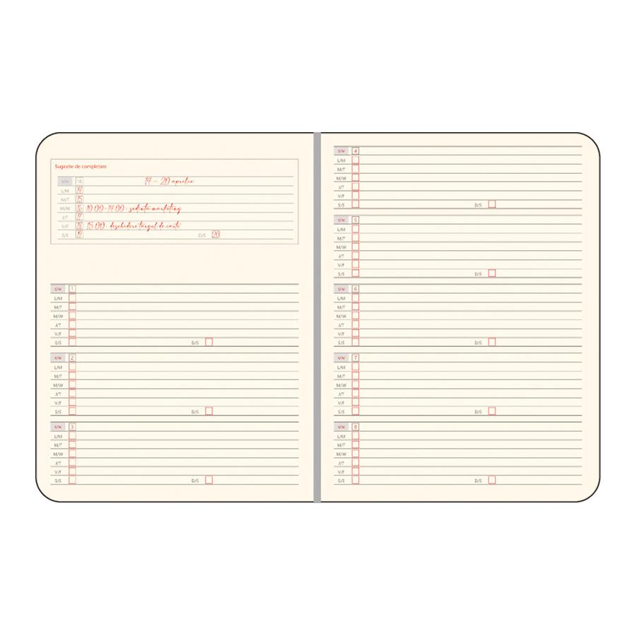 Agenda Arizona Roșu NB11