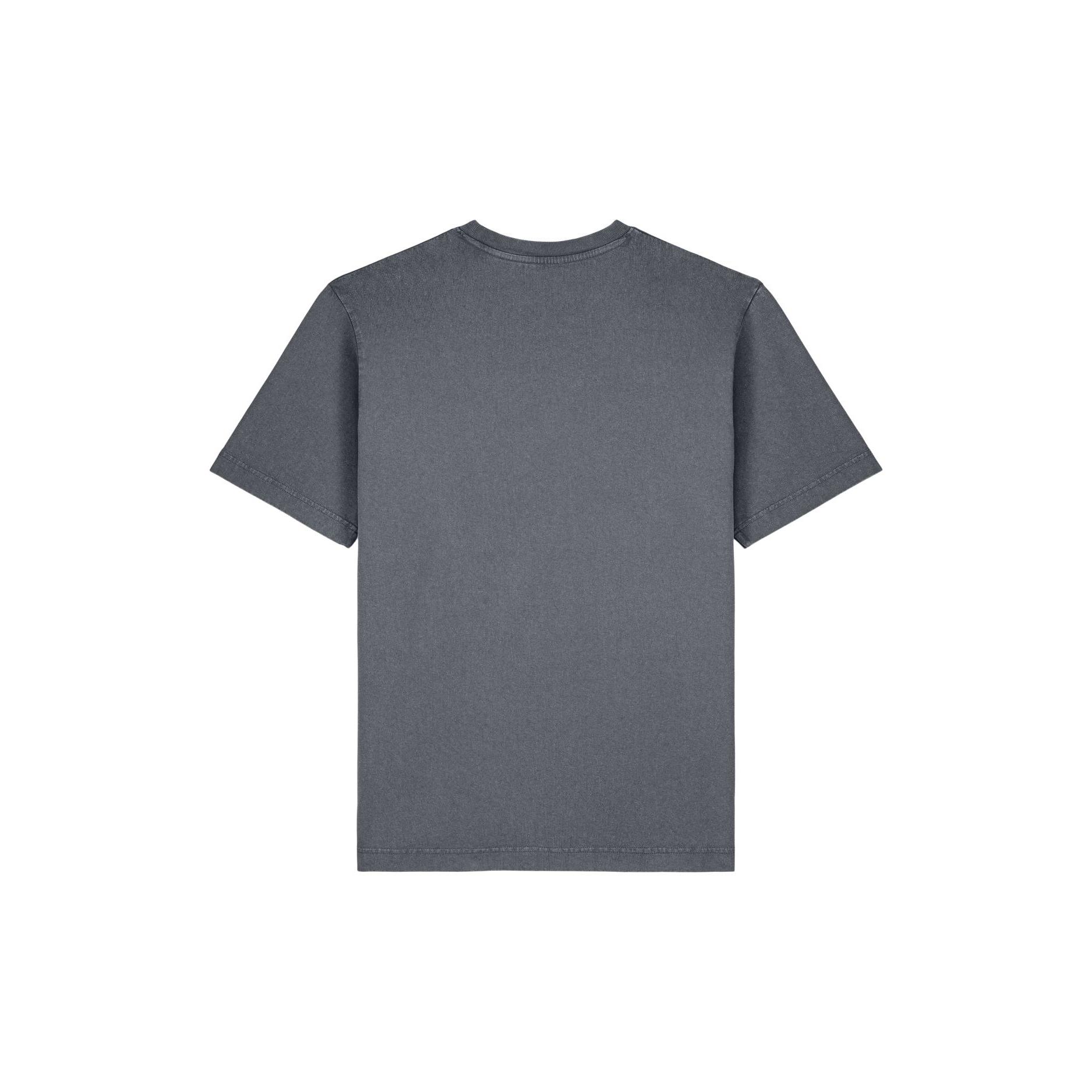 Tricou unisex Freestyler Vintage G. Dyed Anthracite 3XL