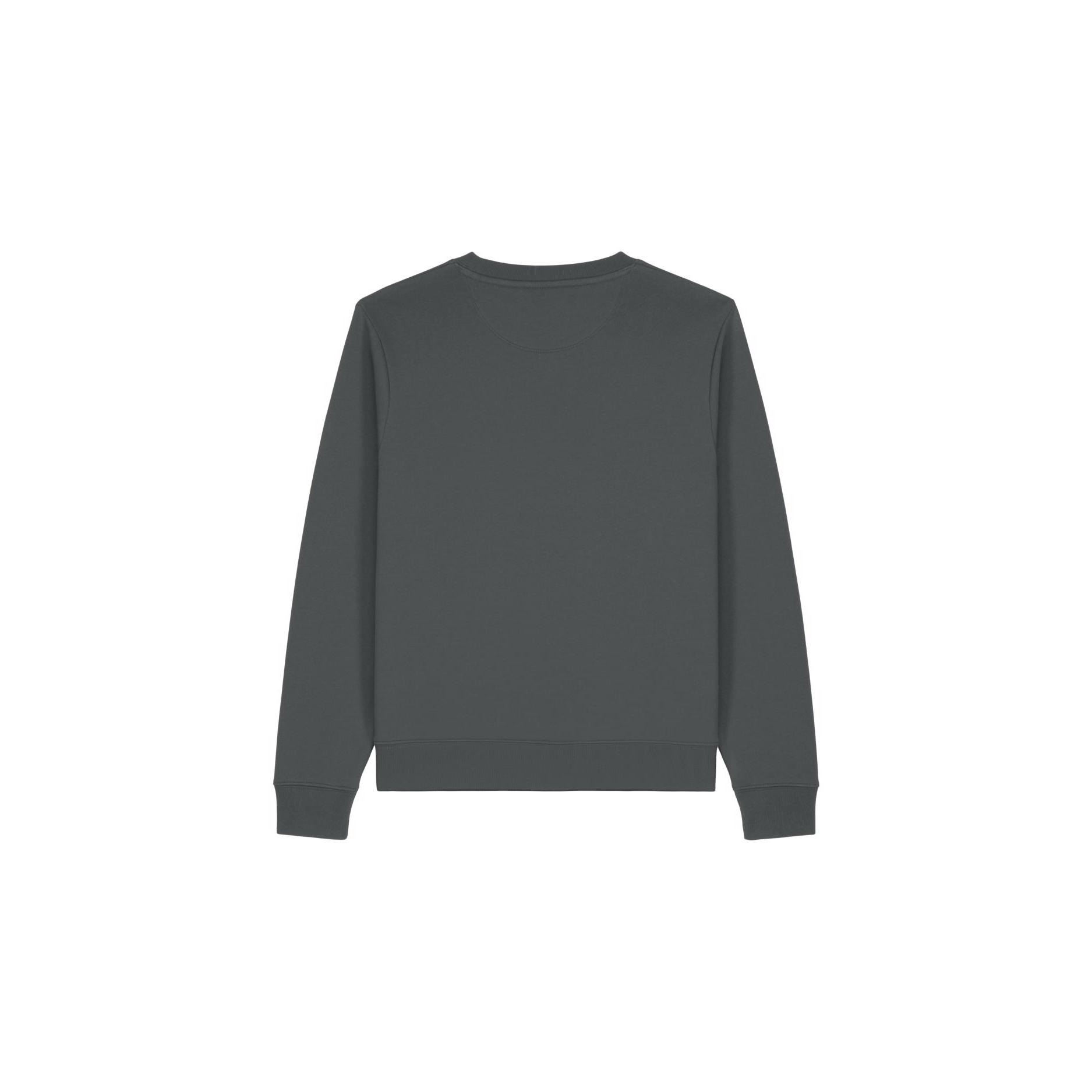Hanorac la baza gâtului pentru femei Stella Thinker Anthracite S