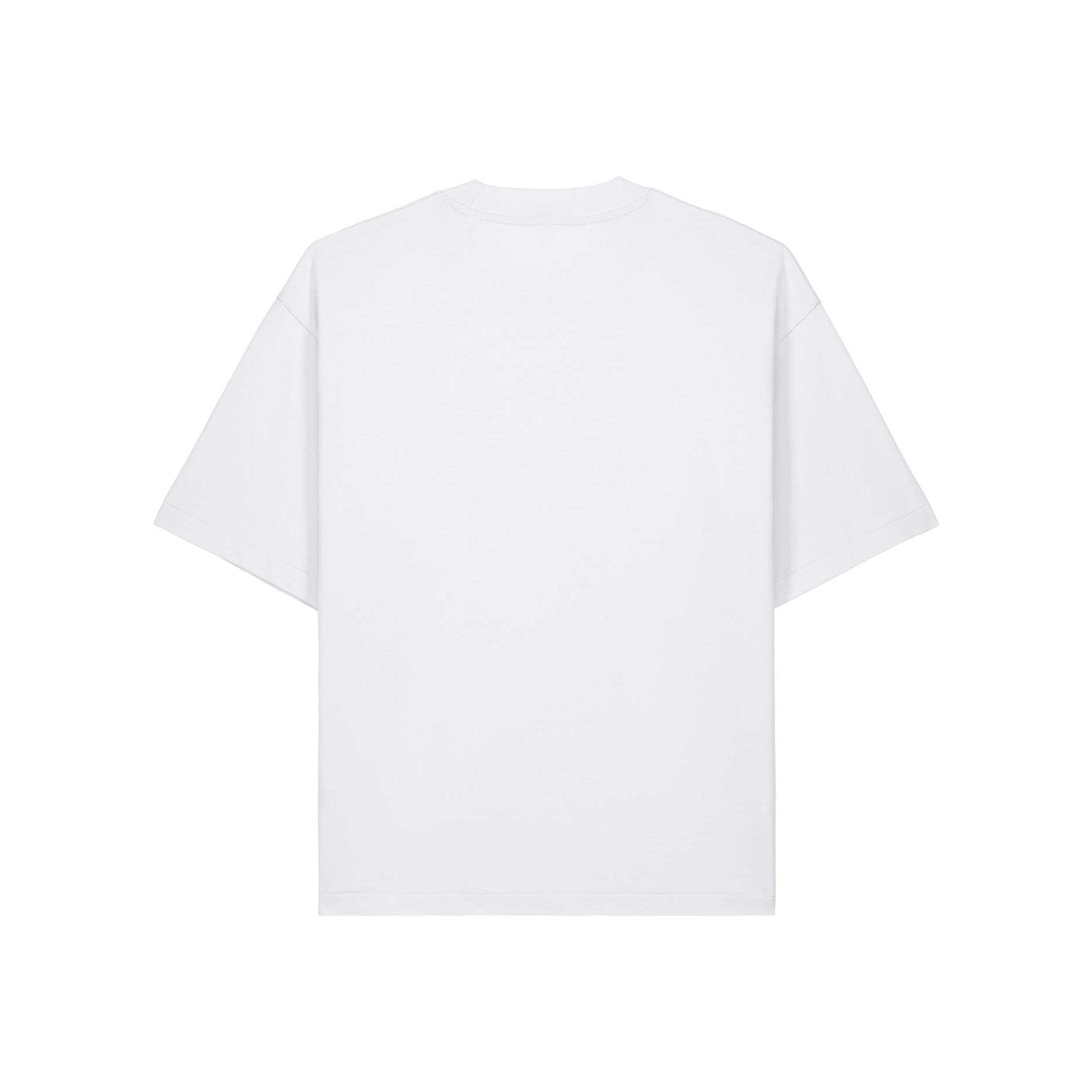 Tricouri unisex Asher White 2XS