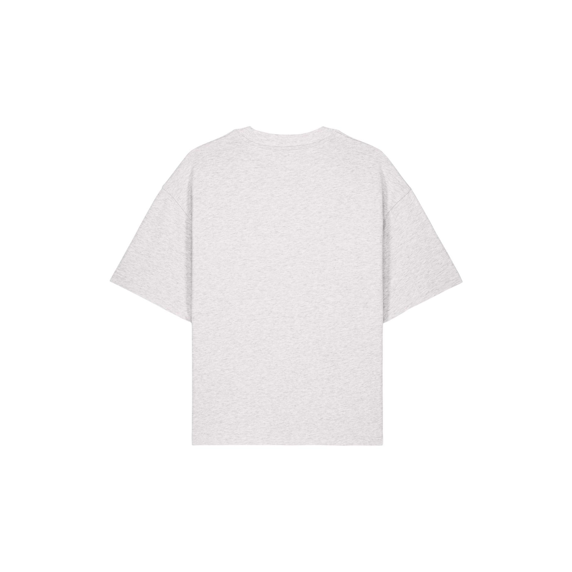 Tricouri unisex Asher Cool Heather Grey 2XS