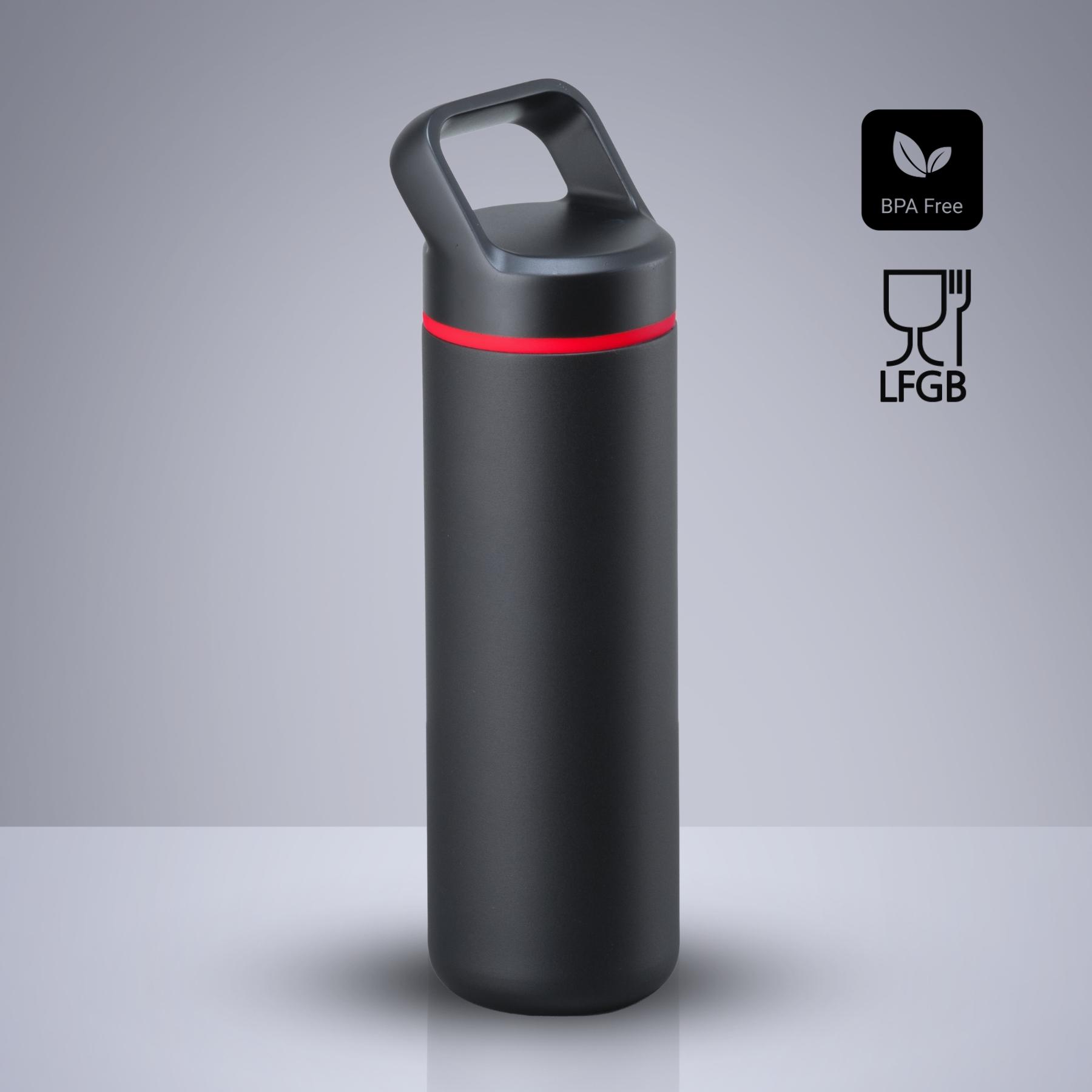 Sticlă din oțel pentru apă Expedition cu strat de cupru, 650 ml Rosu