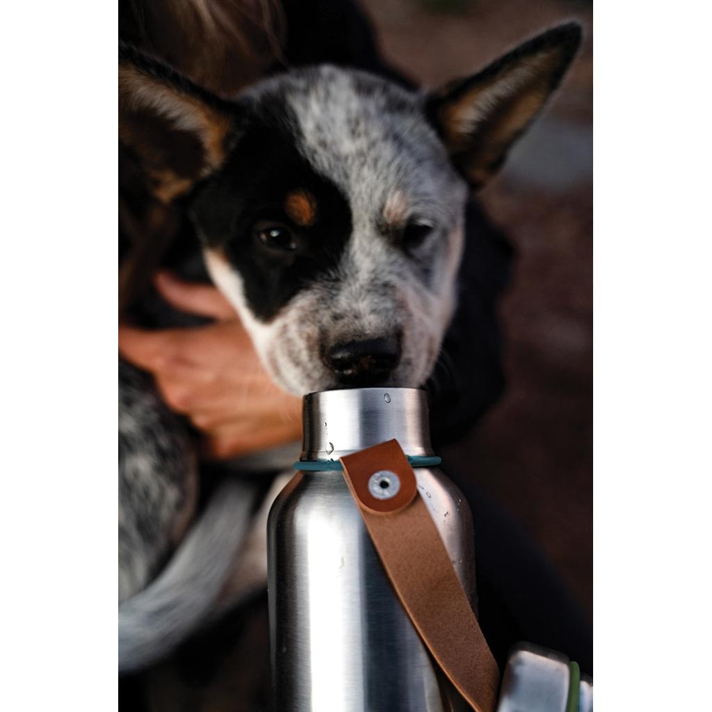 Black+Blum Insulated Water Bottle Small 500ml turquoise