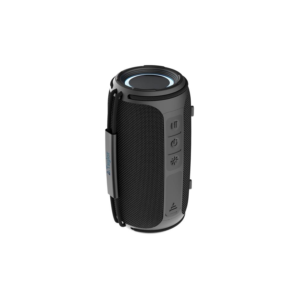 Boxă Prisma 16W black