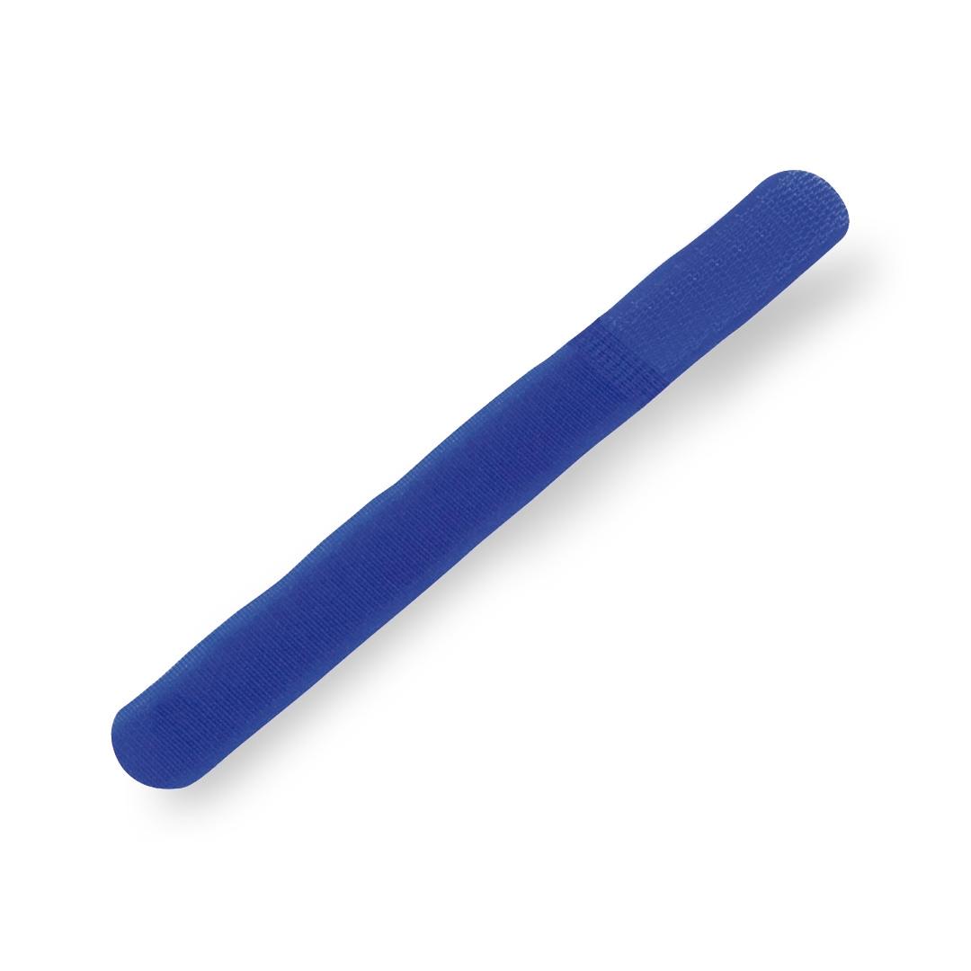 Bandă organizatoare Landi