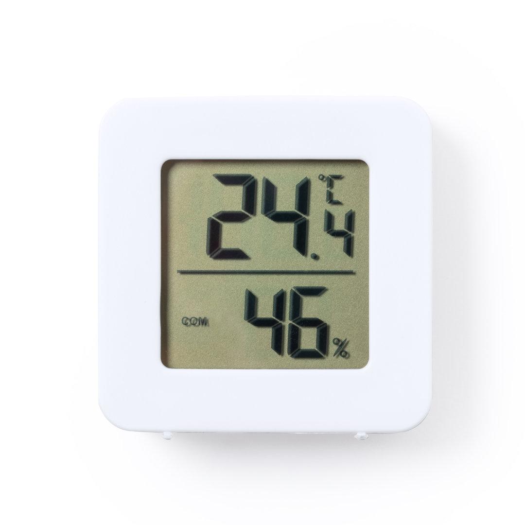 Stație meteo Tynna