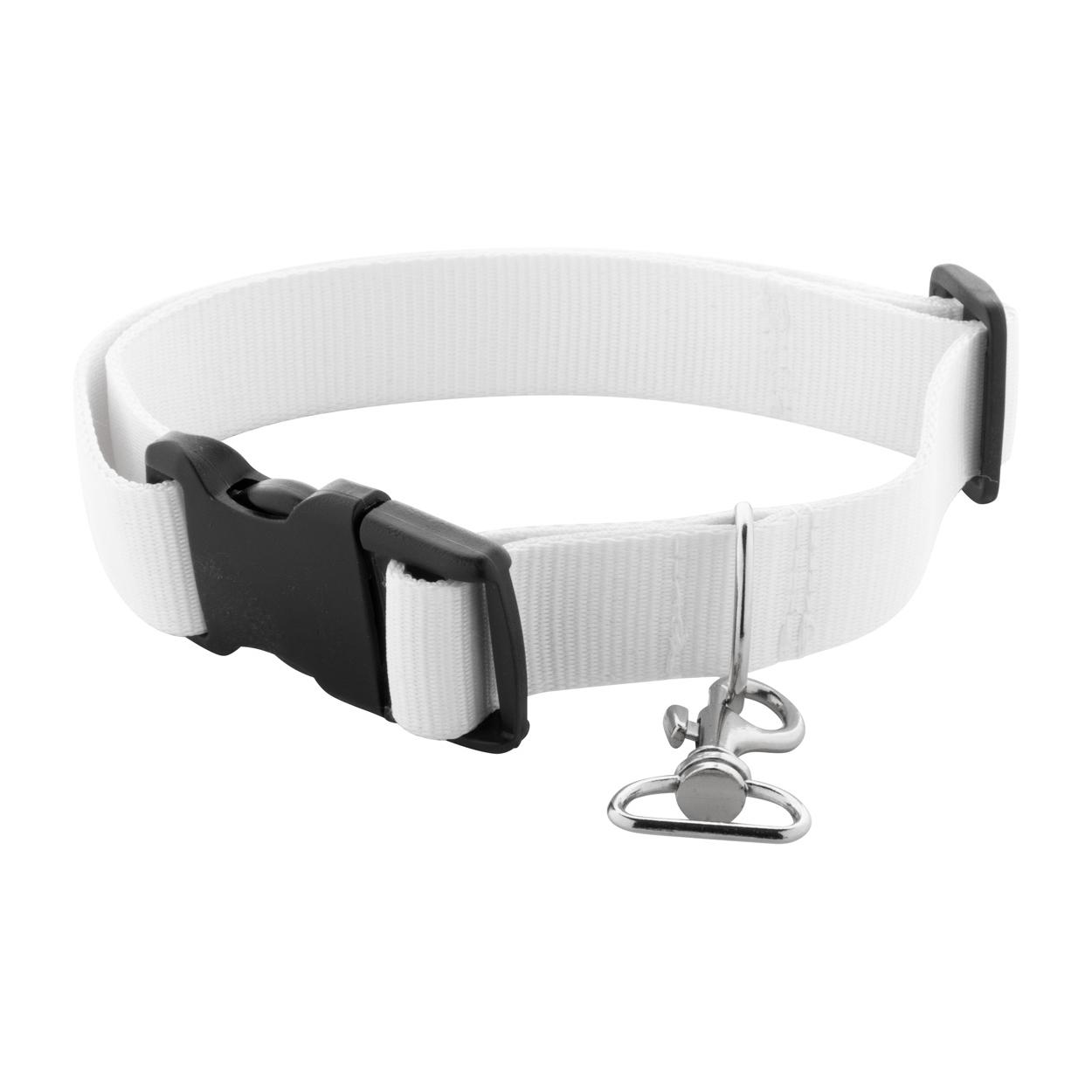 Zgardă pentru câini, personalizată Ziggy Alb