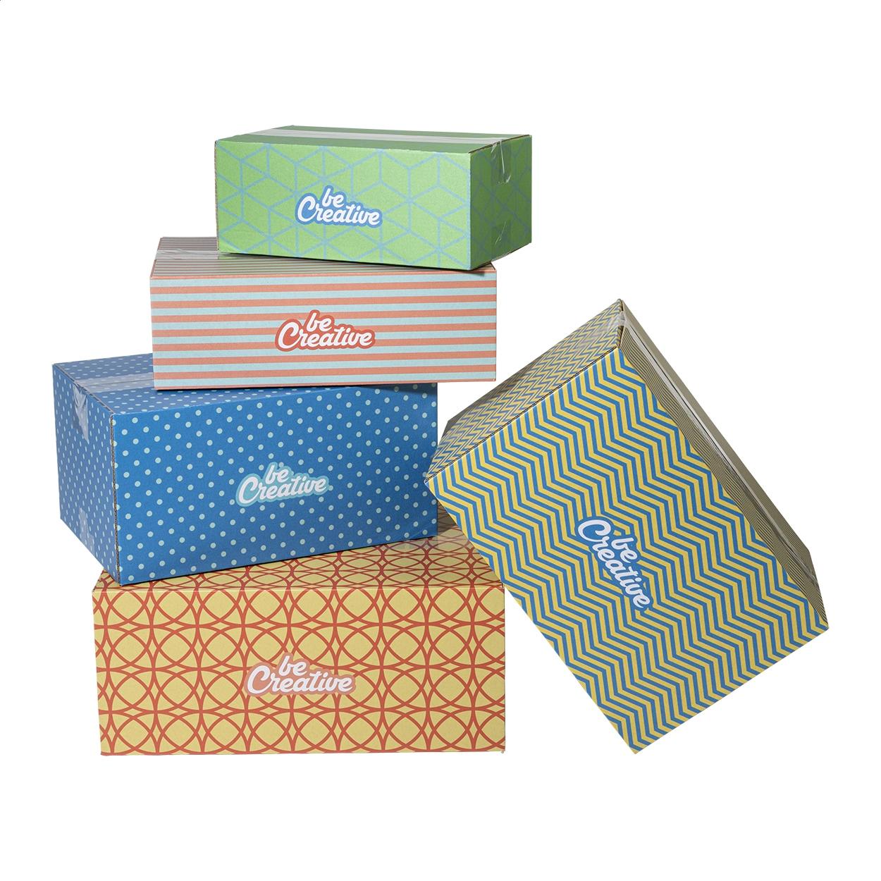 Cutie de transport CreaBox Cargo XS Alb