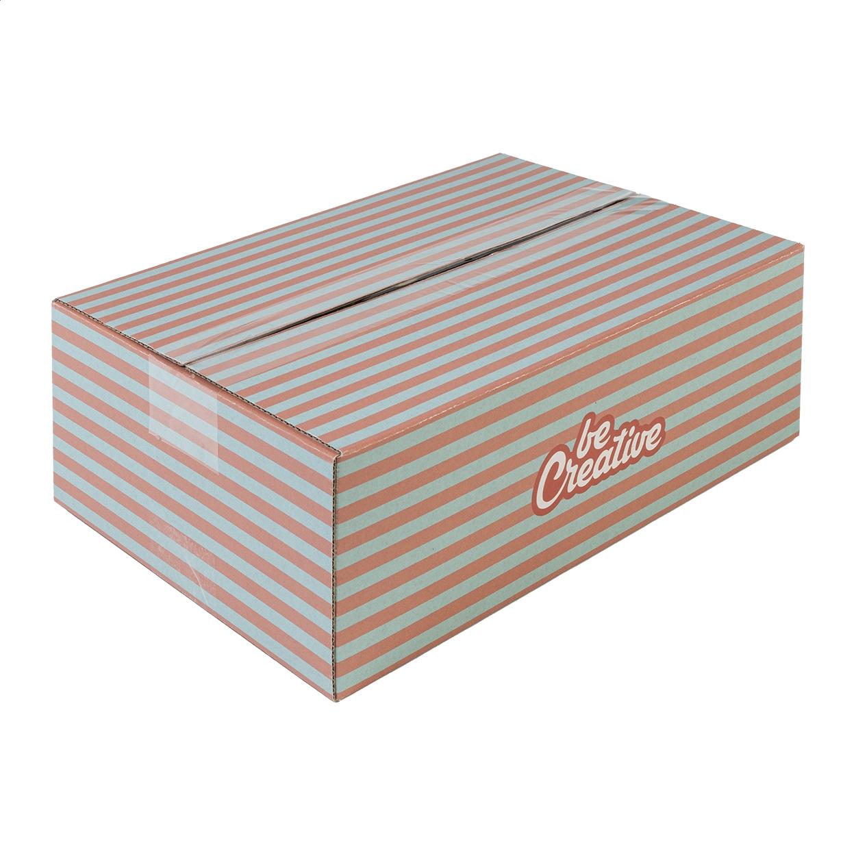 Cutie de transport CreaBox Cargo S Alb
