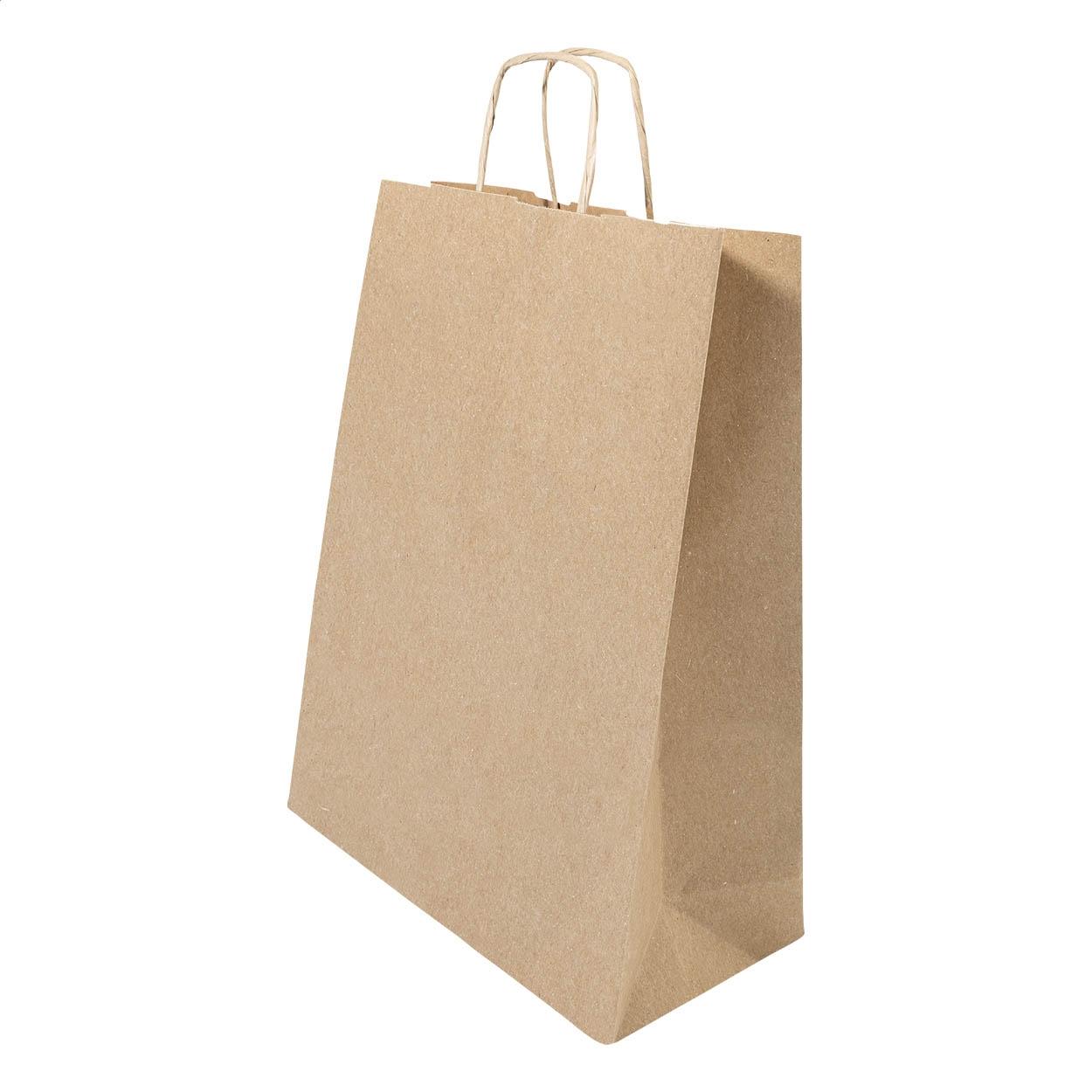 Pungă mare din hârtie pentru cadouri Papbag L