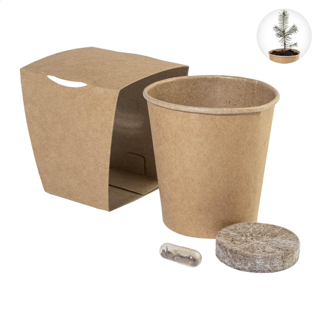 Set pentru cultivarea bradului de Crăciun MerryGrow
