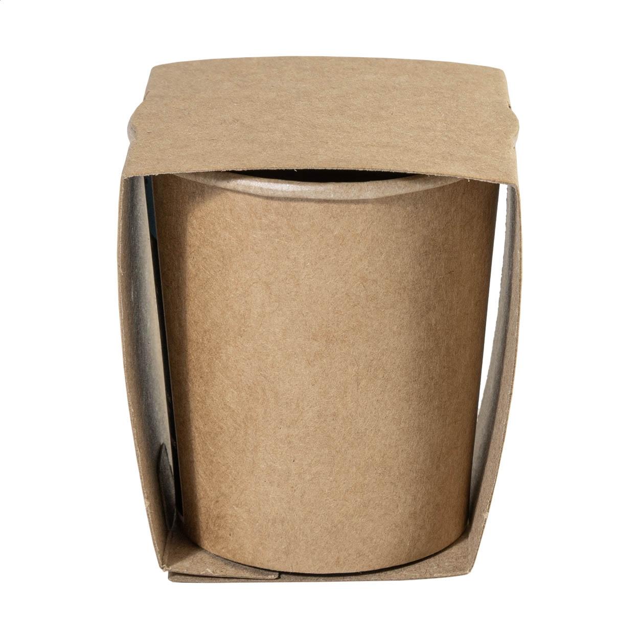 Set pentru cultivarea bradului de Crăciun MerryGrow natural