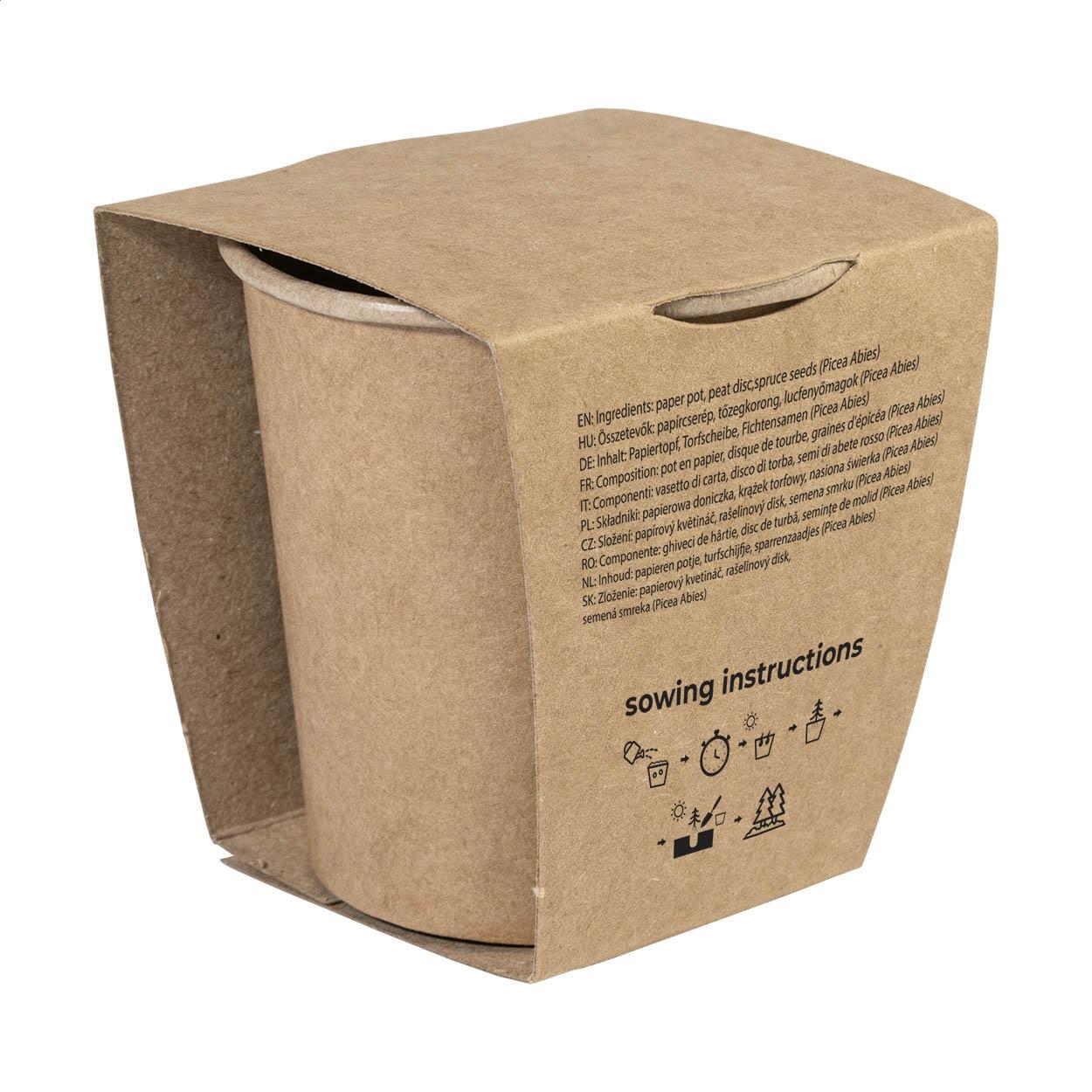 Set pentru cultivarea bradului de Crăciun MerryGrow natural