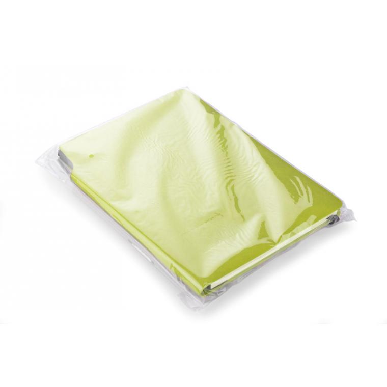 Notebook MOLI A5 verde deschis