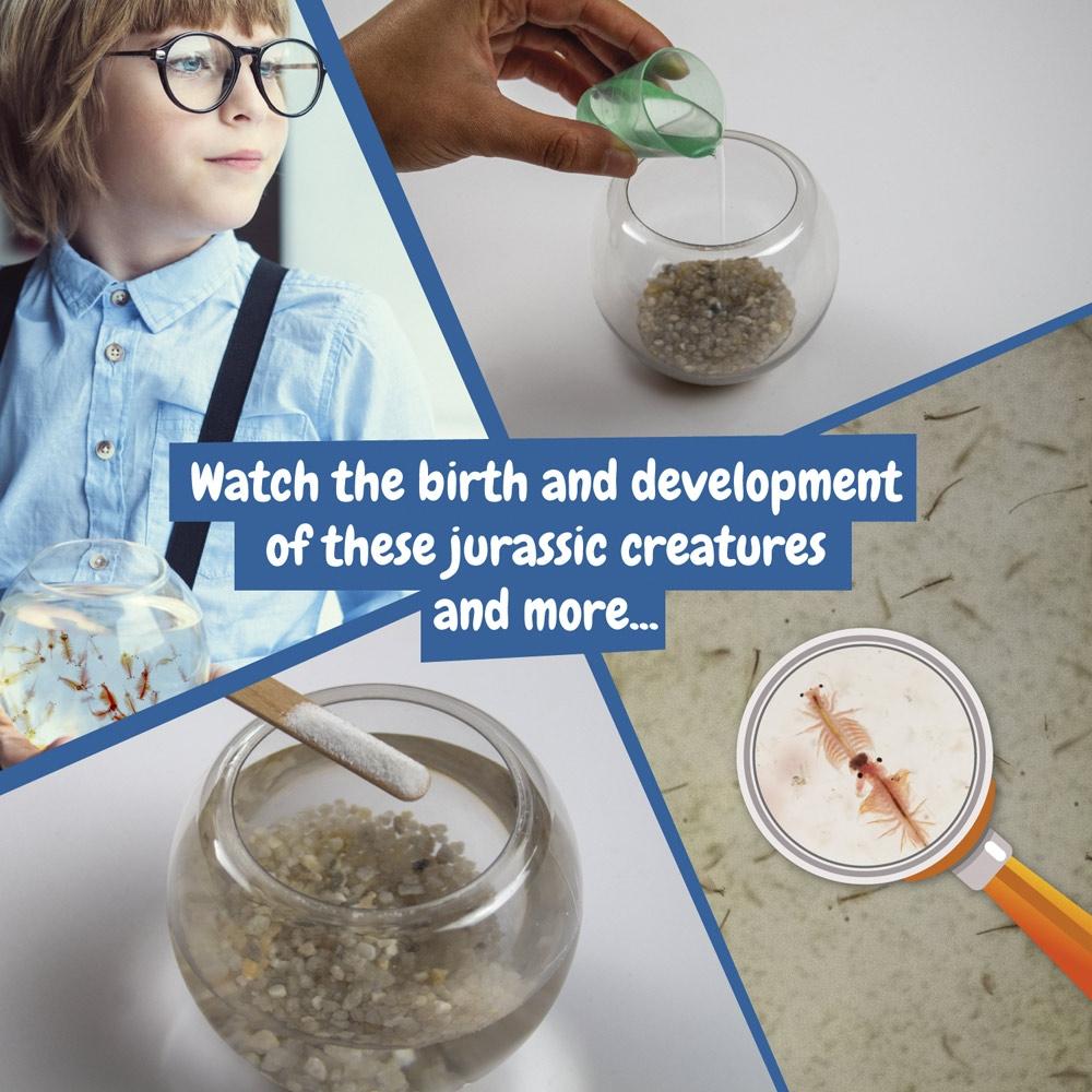 Jurassic Pets Kit III. Joc educațional furnizat cu o pungă cadou din hârtie kraft (90 g/m²) Alb