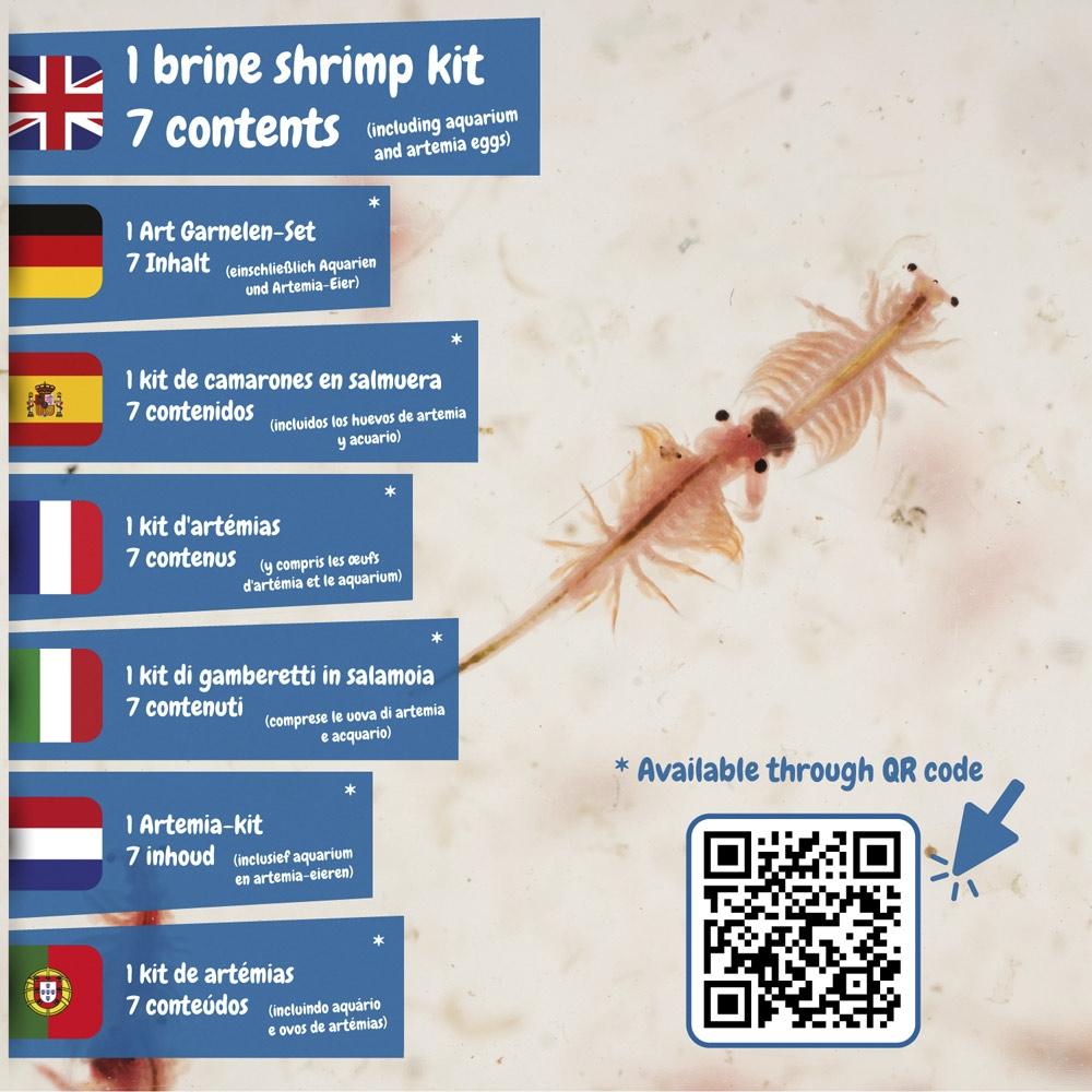 Jurassic Pets Kit III. Joc educațional furnizat cu o pungă cadou din hârtie kraft (90 g/m²) Alb