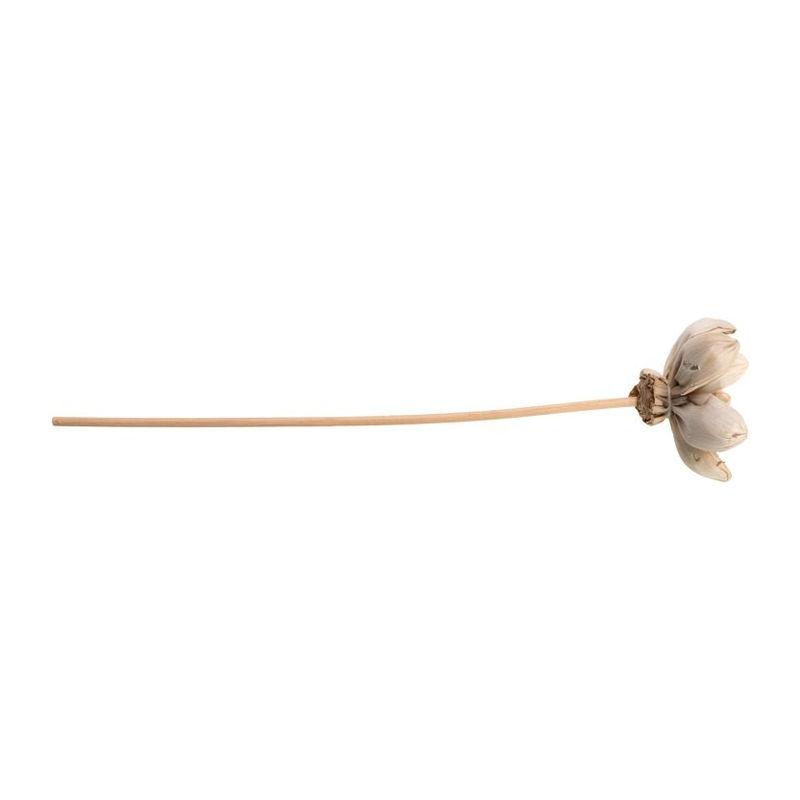 Diffuser Negru