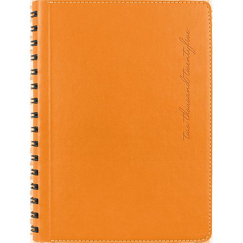 Agendă Oxford X-Press Orange 123