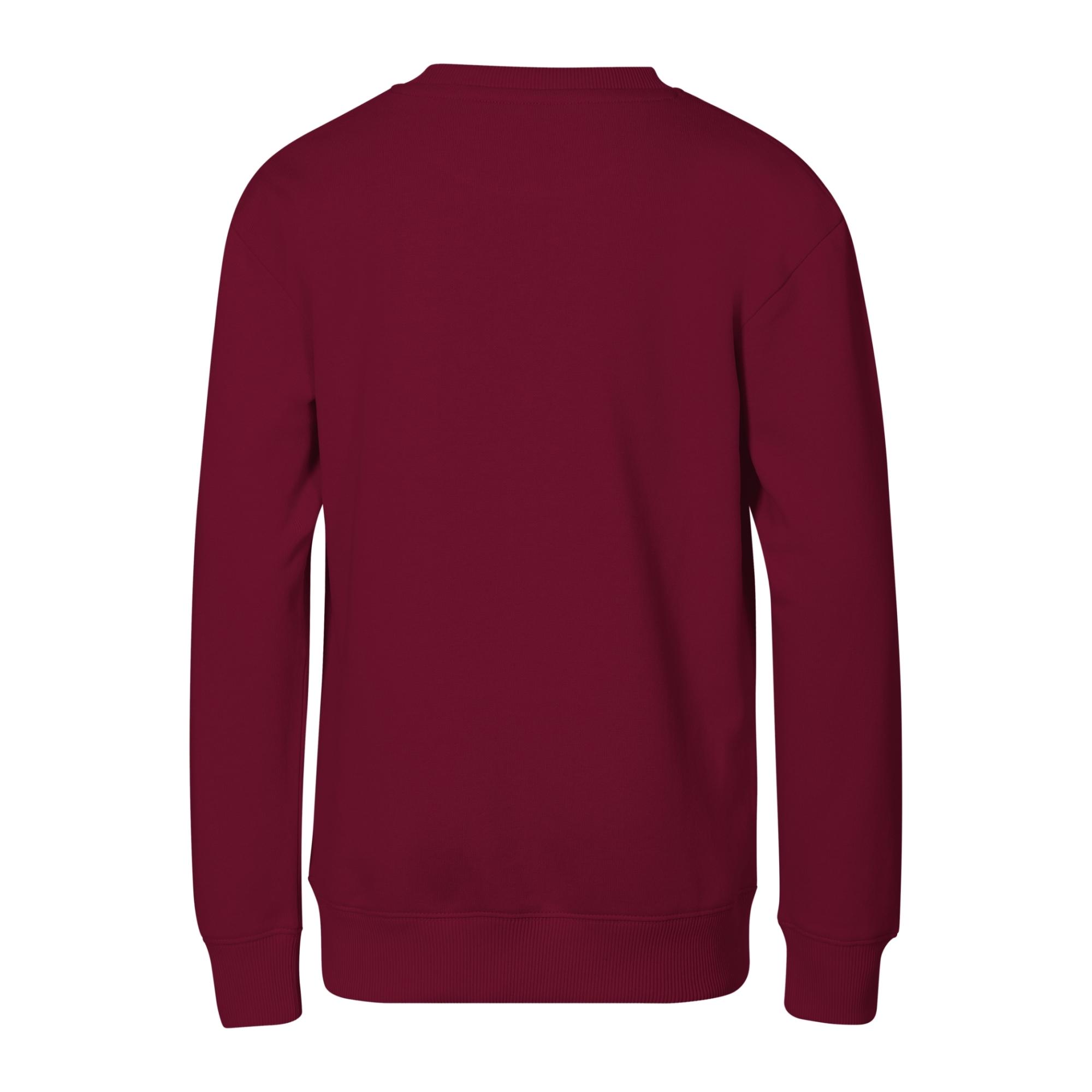 Hanorac pentru copii Crew 427 Garnet 6 ani