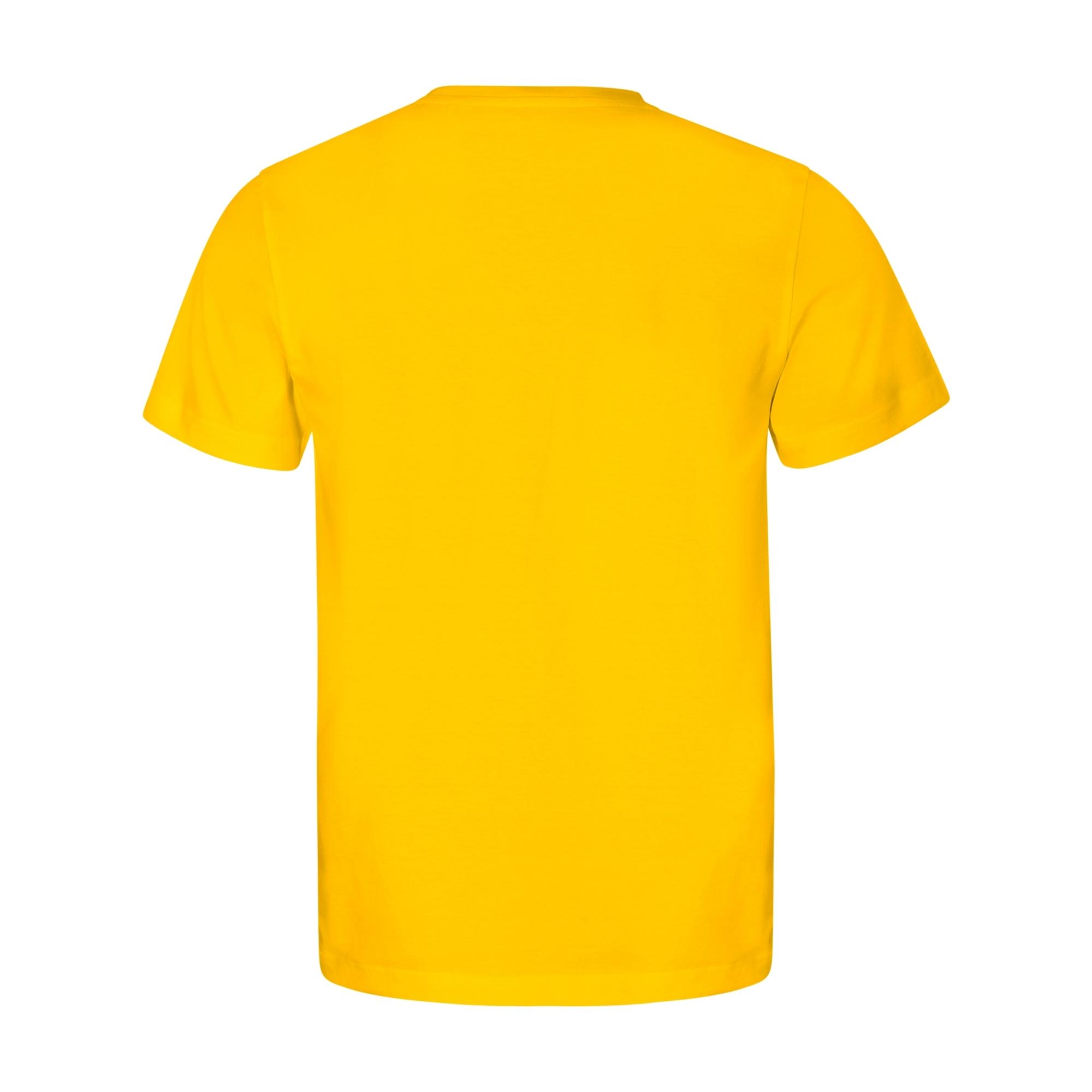 Tricou pentru bărbaţi Edge 813 Galben L